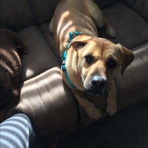 Meet your Posher, Nicholas